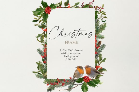Christmas Frame with Robin Birds: A Seller's Review of Illustrations